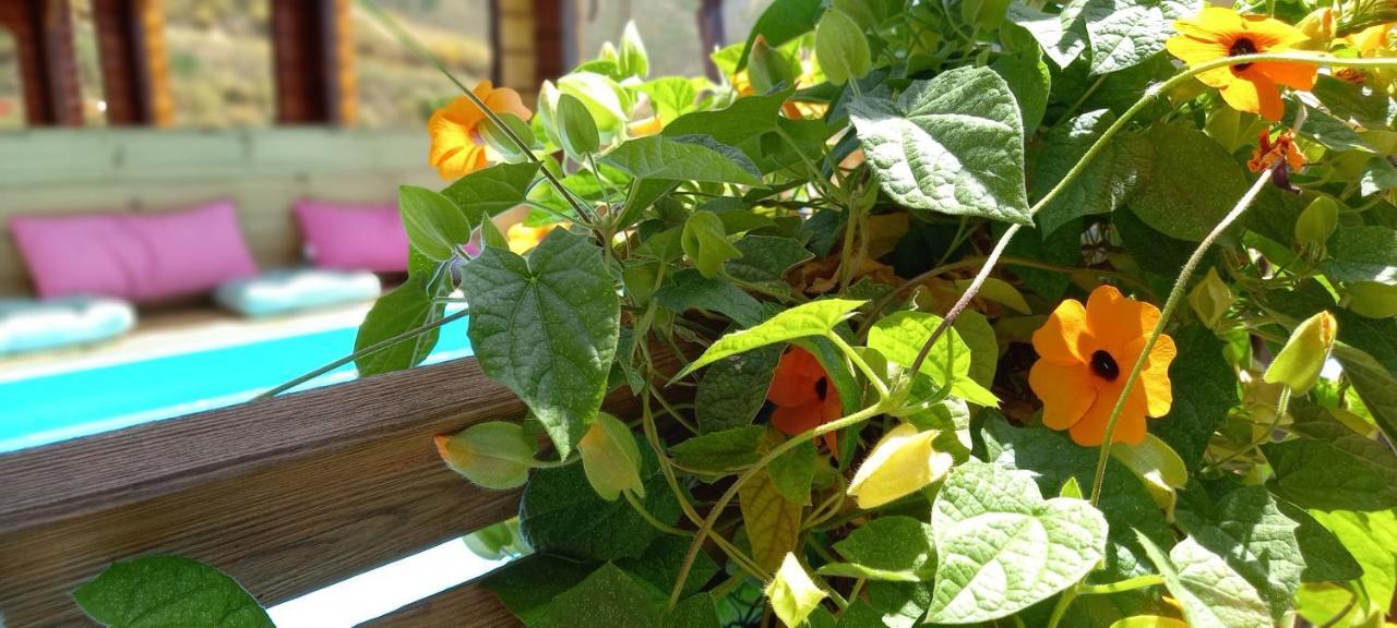 Finca Mariposa Mariposaholidays Nerja Ngoại thất bức ảnh