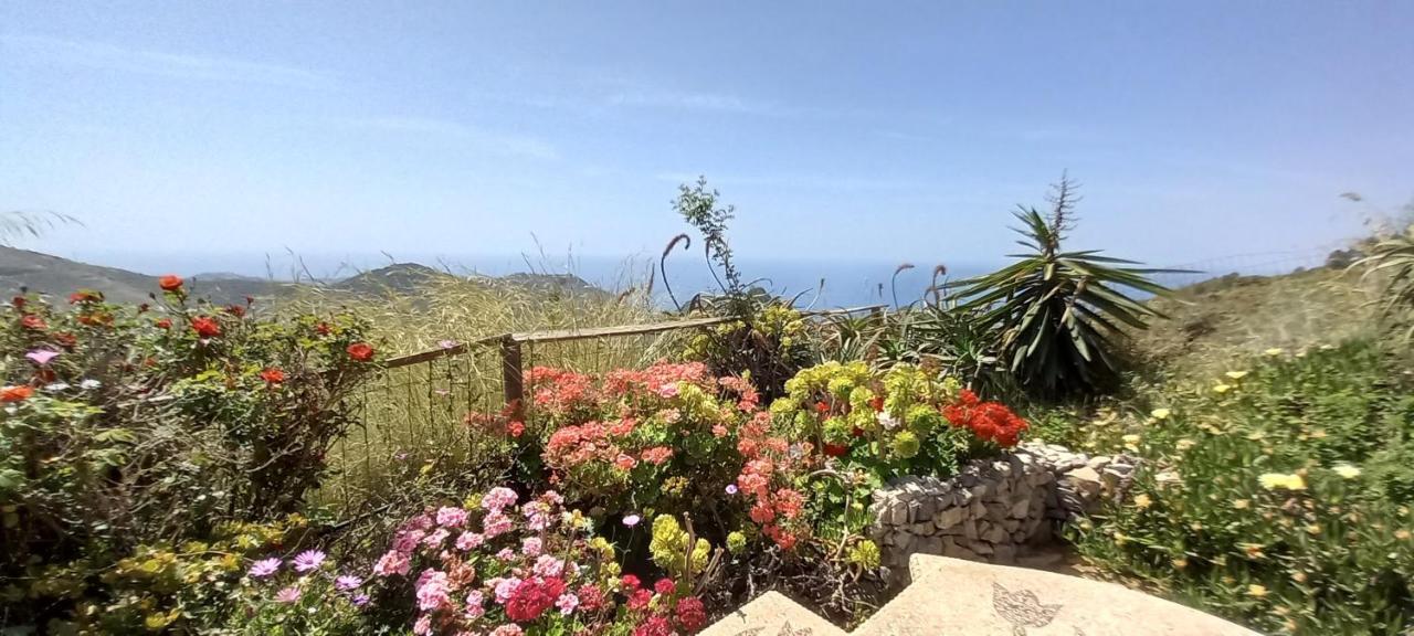 Finca Mariposa Mariposaholidays Nerja Ngoại thất bức ảnh