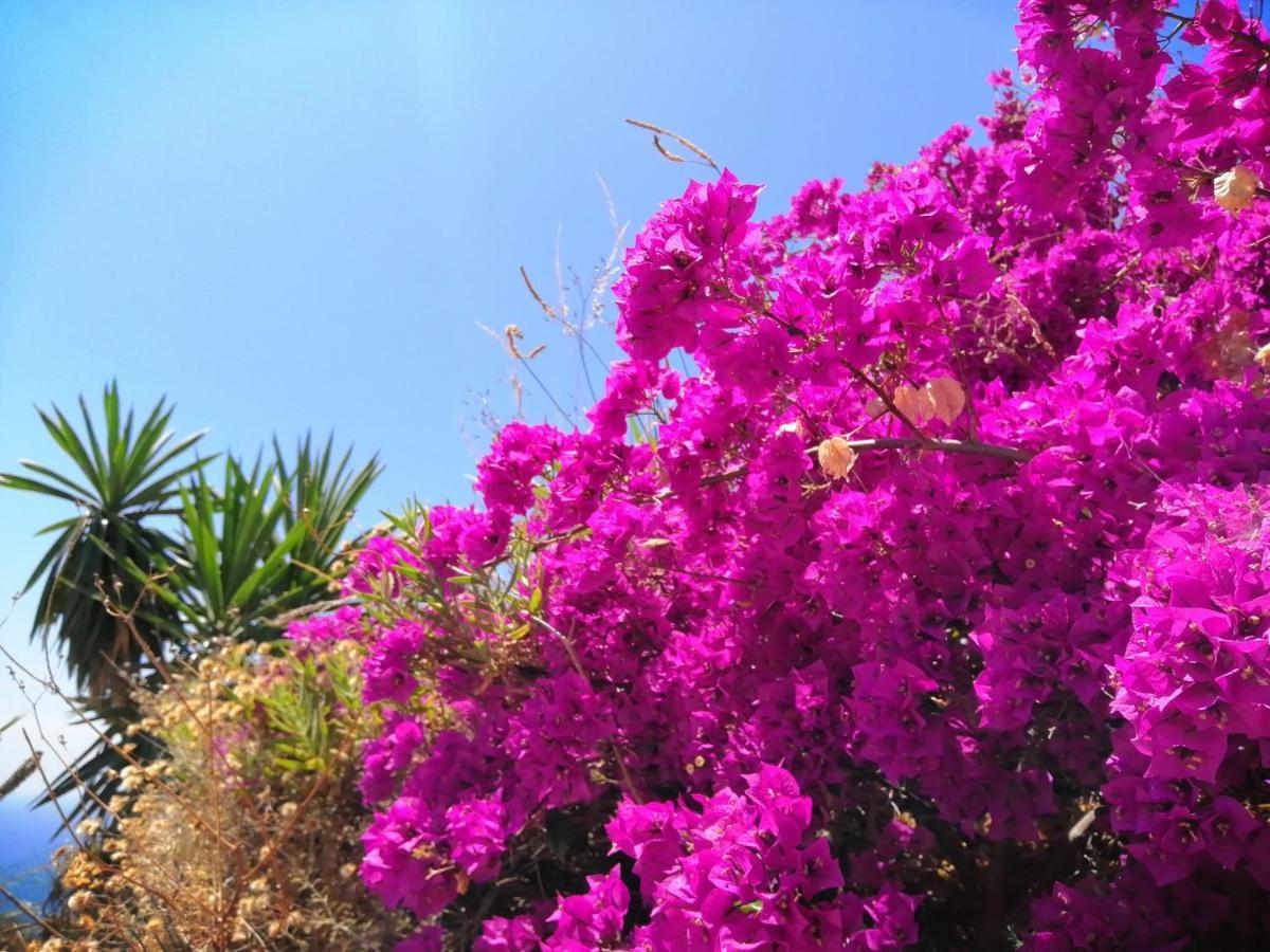 Finca Mariposa Mariposaholidays Nerja Ngoại thất bức ảnh