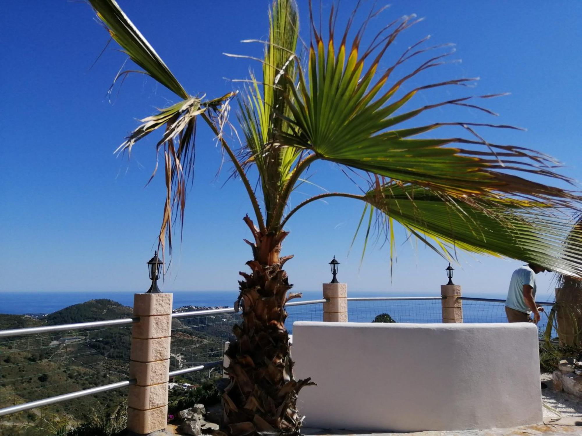 Finca Mariposa Mariposaholidays Nerja Ngoại thất bức ảnh