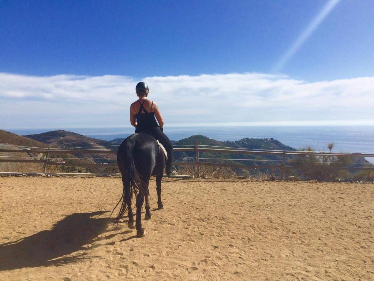 Finca Mariposa Mariposaholidays Nerja Ngoại thất bức ảnh