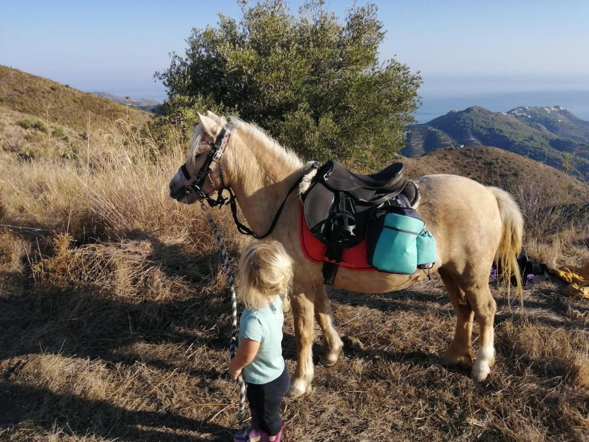 Finca Mariposa Mariposaholidays Nerja Ngoại thất bức ảnh